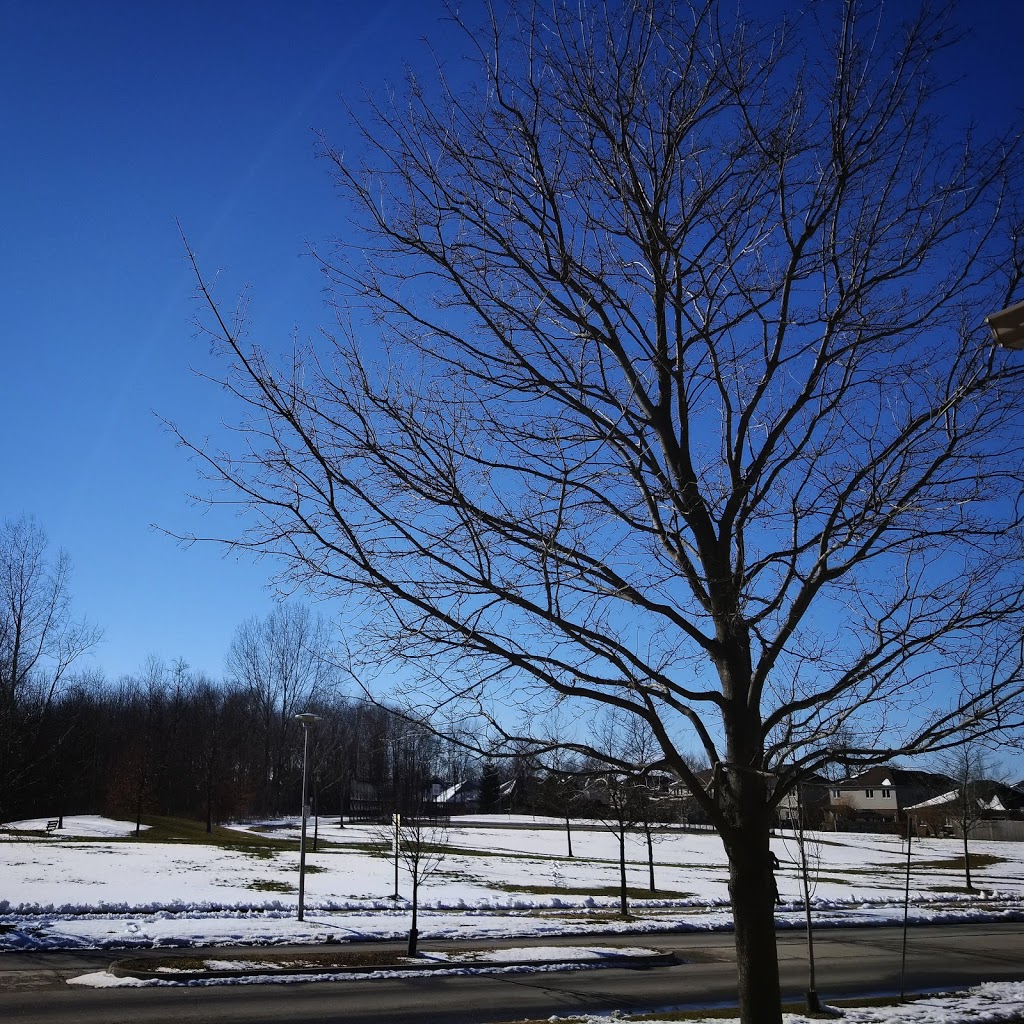 Ambleside Park | Masonville, London, ON N6G 4P5, Canada