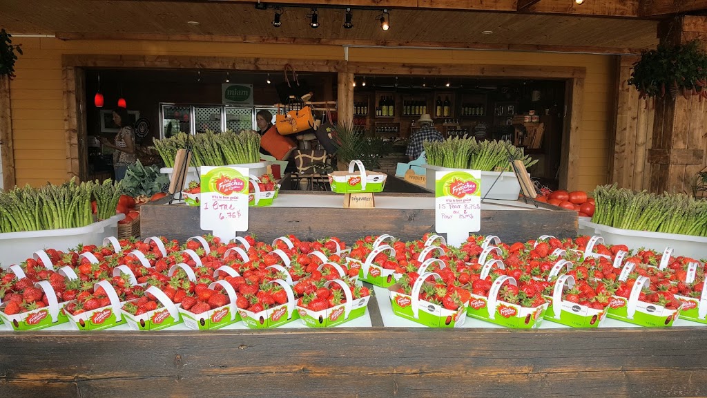 Ferme Horticole Gagnon | 8600 Chemin Sainte-Marguerite, Trois-Rivières, QC G9A 5C9, Canada | Phone: (819) 377-2360