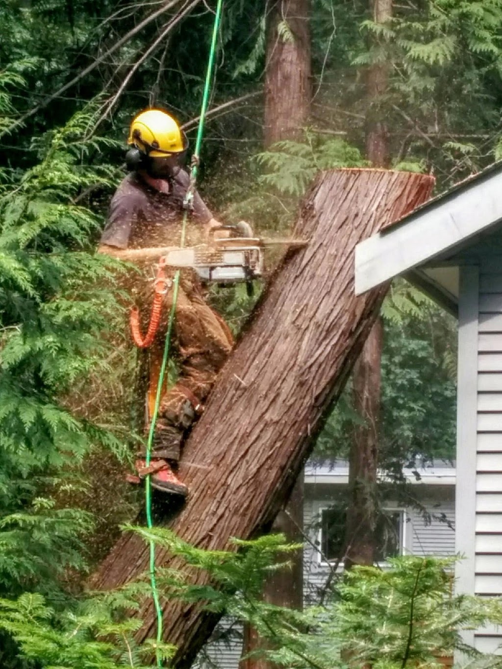 Tomahawk Tree Services Ltd | 6960 Rafiki Way, Brentwood Bay, BC V8M 1G5, Canada | Phone: (250) 883-1461