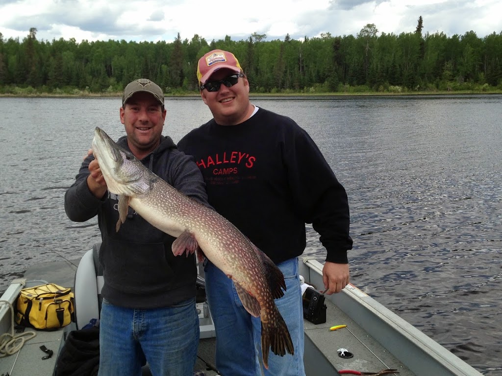 Halleys Kettle Falls Lodge | Minaki, ON P0X 1J0, Canada | Phone: (807) 224-3483