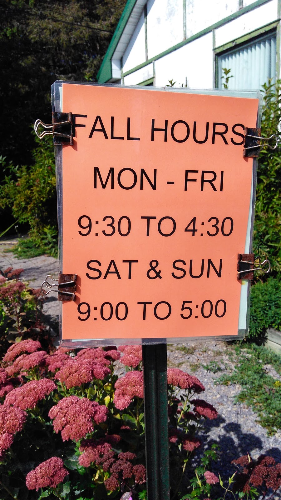 Made in the Shade Perennials | 3626 2, Gananoque, ON K7G 2V5, Canada | Phone: (613) 382-8251