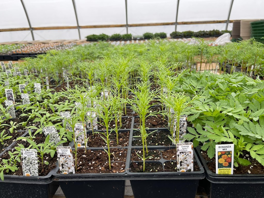 Ansari Organic Farms | 3502 Hwy 7, Norwood, ON K0L 2V0, Canada | Phone: (705) 957-8185