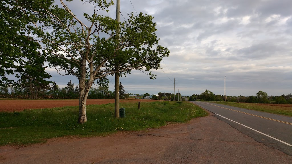 Free Church of Scotland | route 19, 8794 Prince Edward Island, Bonshaw, PE C0A 1C0, Canada | Phone: (902) 658-2759