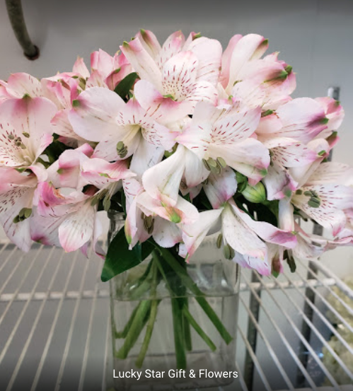 Lucky Star Gift & Flowers | 1648 St Clair Ave W, Toronto, ON M6H 1H8, Canada | Phone: (416) 653-6140