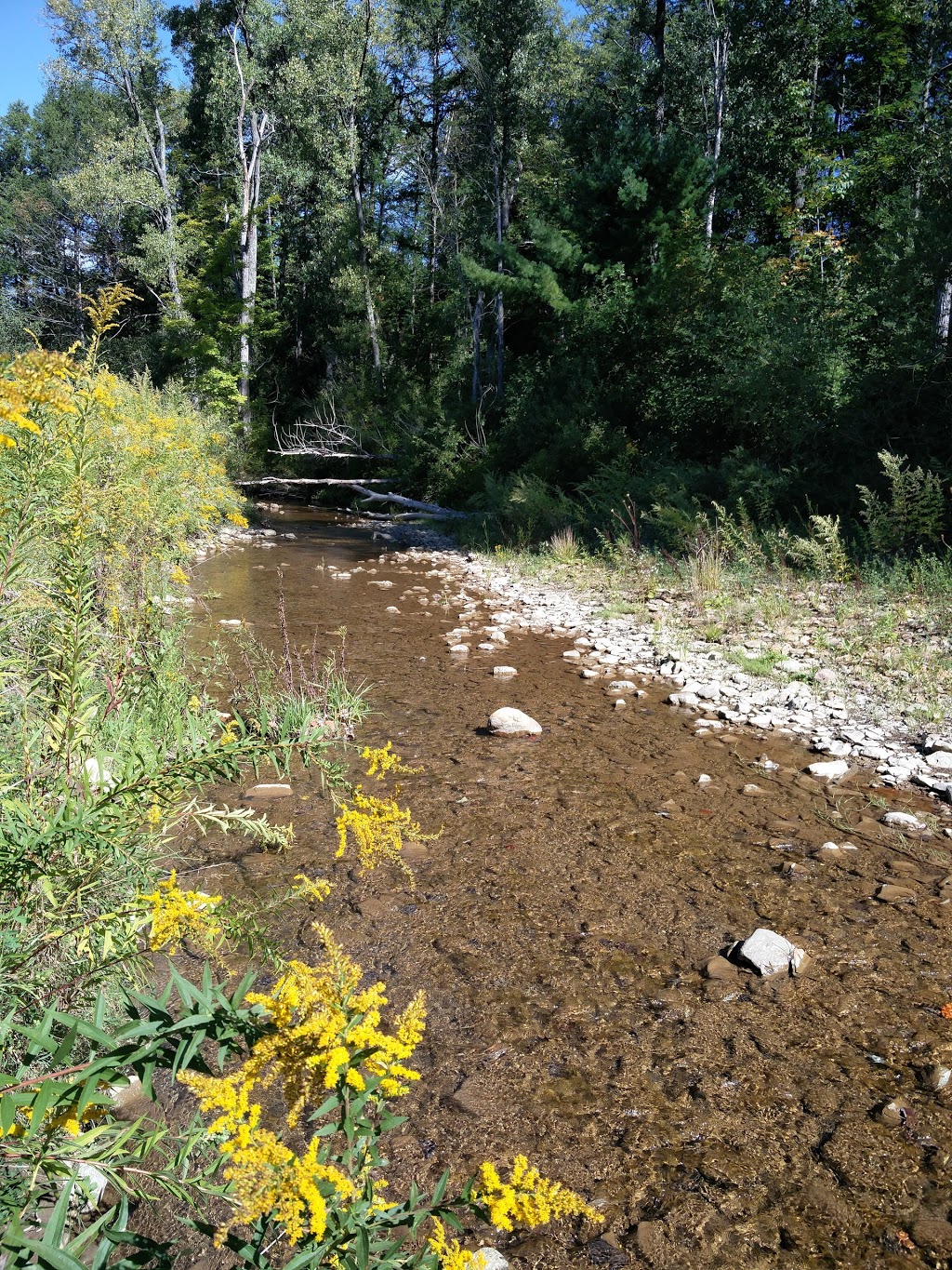 Francis Danter Memorial Park | Langford-New Oregon Rd, North Collins, NY 14111, USA