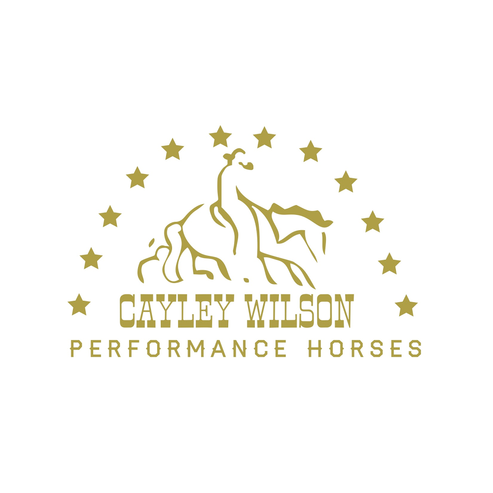 Cayley Wilson Performance Horses, Inc. | 1280 Powerhouse Rd, Abbotsford, BC V3G 1T7, Canada | Phone: (604) 300-0401