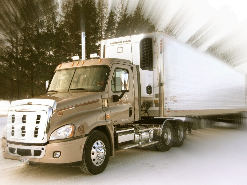 Earles Transfer Inc. | 301 Griffin St, Treherne, MB R0G 2V0, Canada | Phone: (204) 723-2733