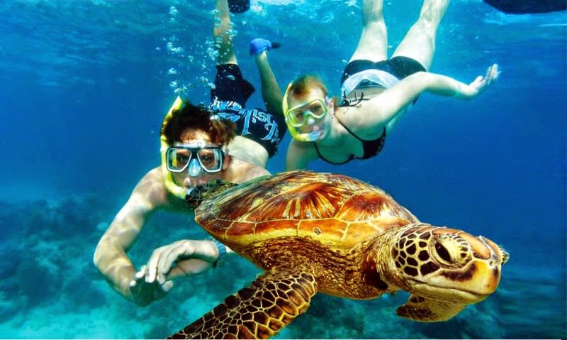 Expedia Cruiseship Centers - Ann Van Hove | 145172 Potters Rd, Tillsonburg, ON N4G 4G7, Canada | Phone: (519) 842-3782