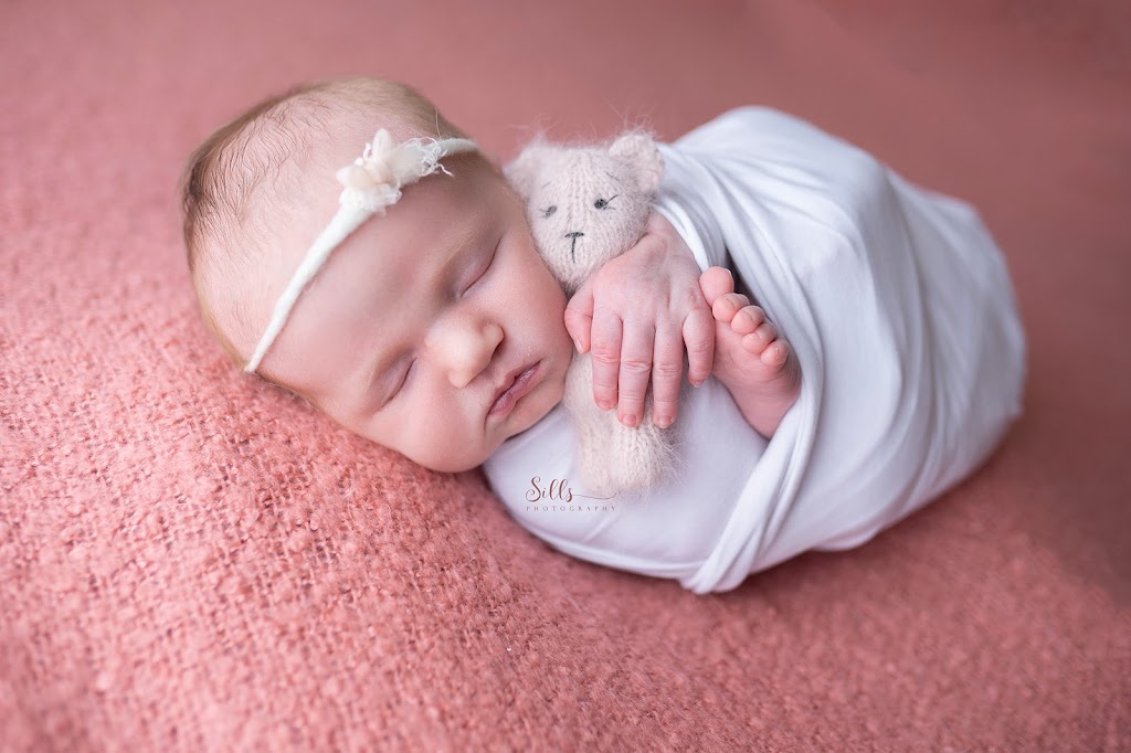 Sills Photography | 505 Mill St, Neustadt, ON N0G 2M0, Canada | Phone: (519) 369-1457
