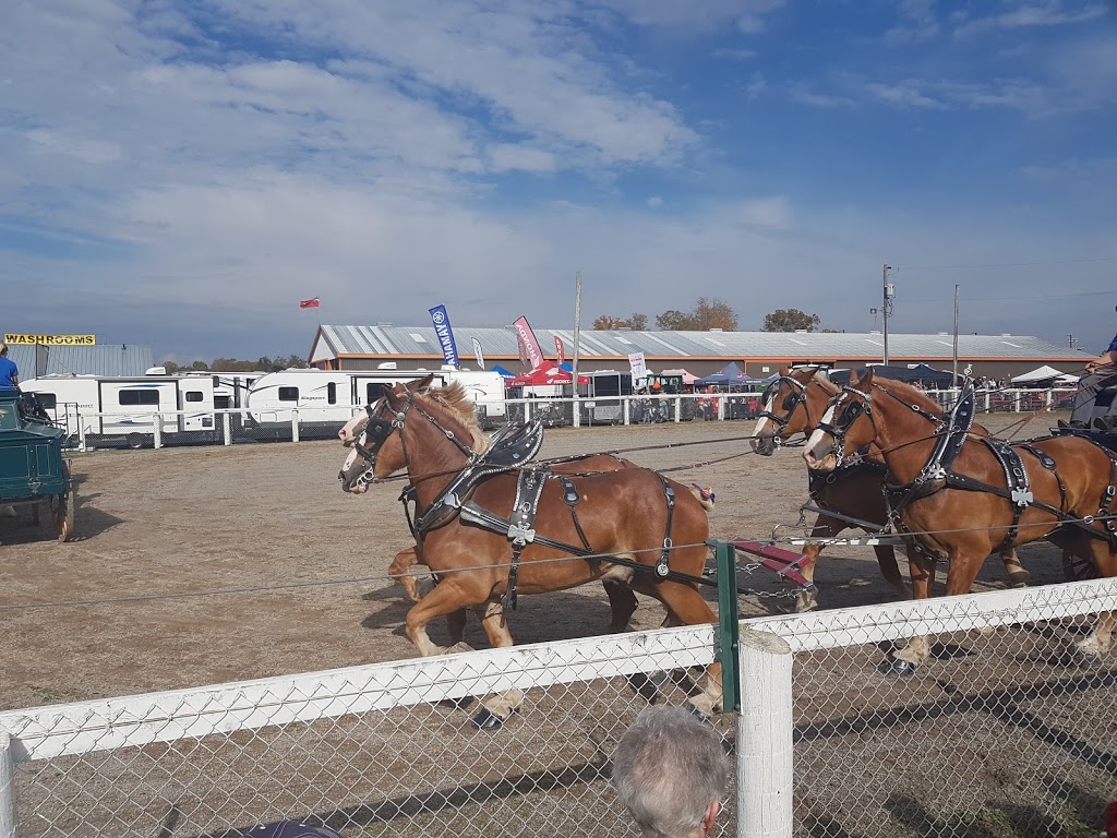 Norwood Fair | 48 Alma St, Norwood, ON K0L 2V0, Canada | Phone: (705) 639-5283