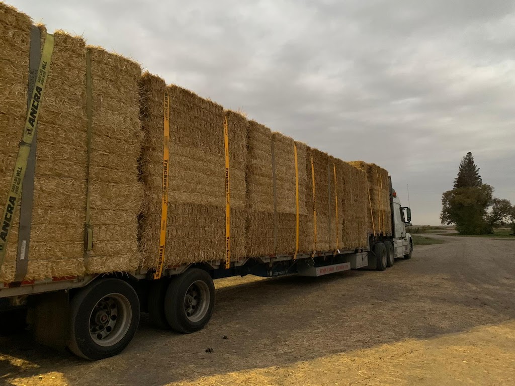 Eimple Transport | 1300 Steeles Ave E Unit# 102, Brampton, ON L6T 4T2, Canada | Phone: (437) 225-0644