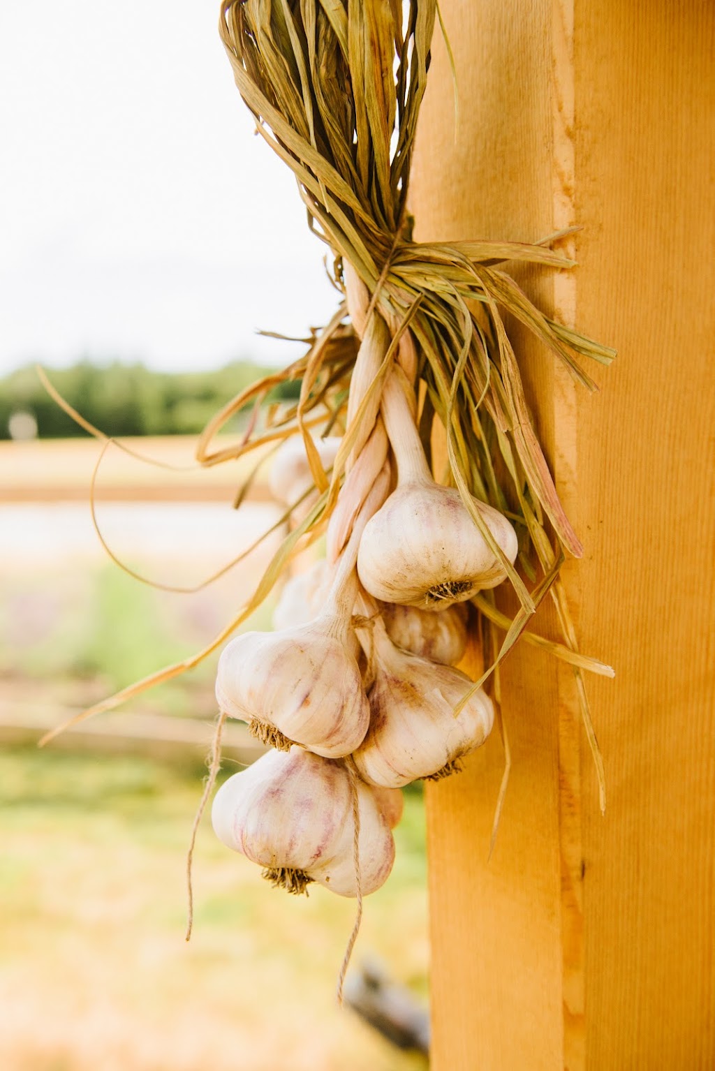 Heart & Sol Coastal Farm | 6282 Crowston Rd, Sechelt, BC V0N 3A5, Canada | Phone: (604) 710-4992