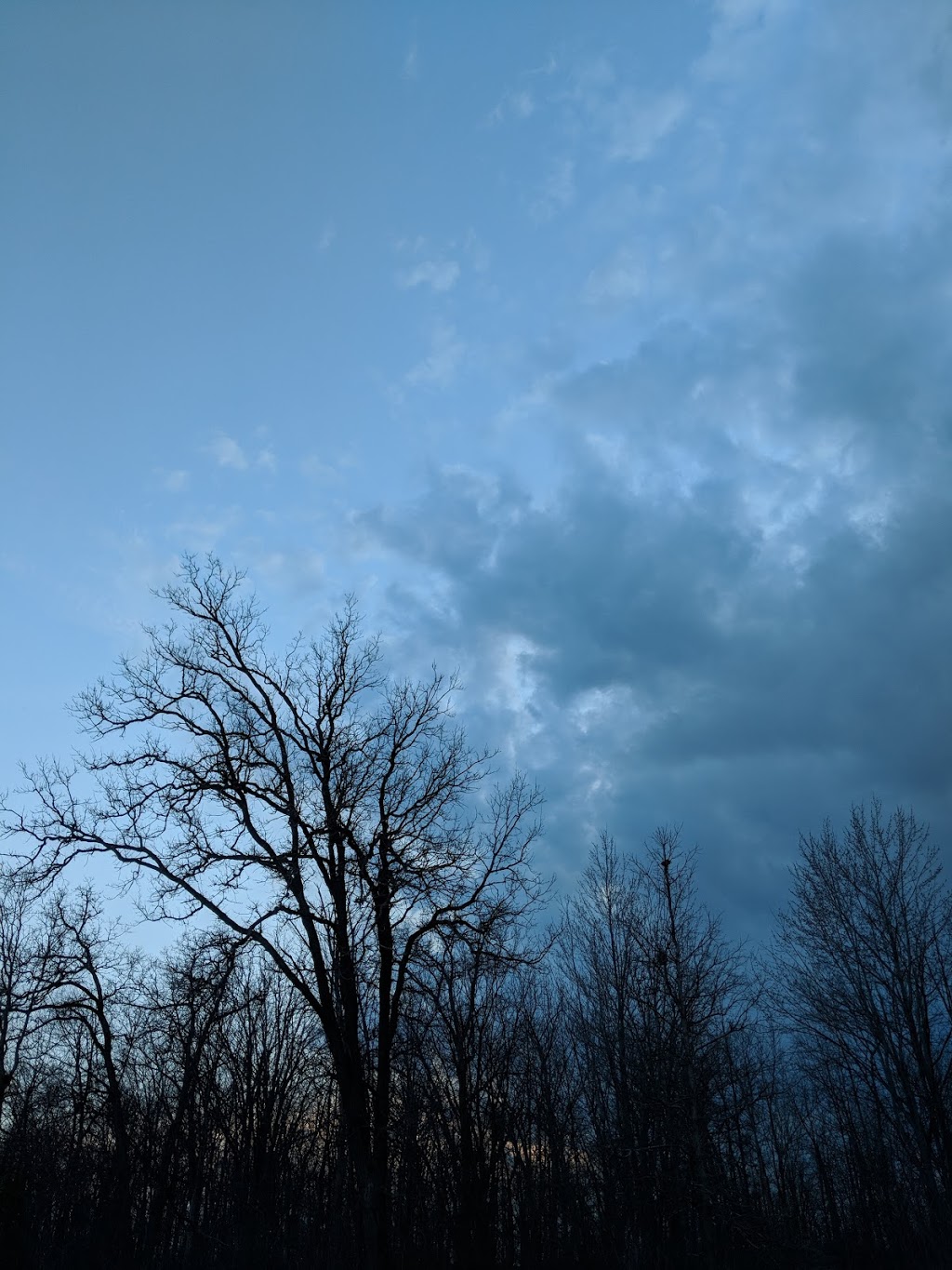 Grand Park Woods | 3350 Grand Park Dr, Mississauga, ON L5B 4C9, Canada
