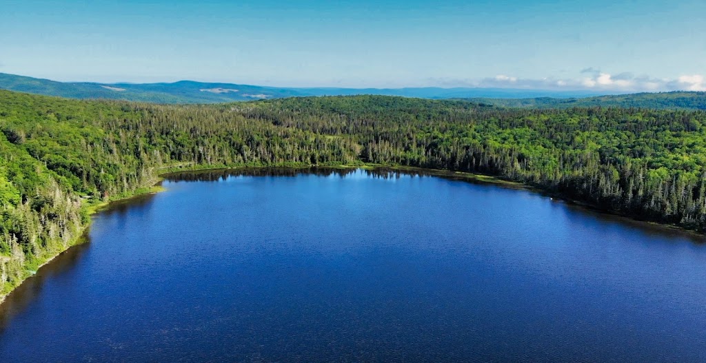 Coleman State Park | 1166 Diamond Pond Rd, Stewartstown, NH 03576, USA | Phone: (603) 237-5382