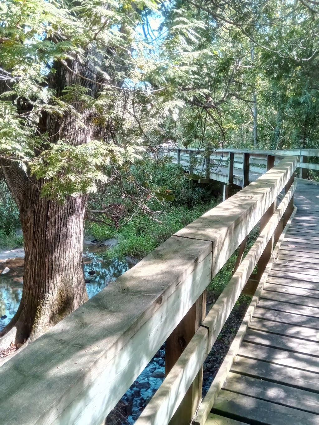 Bannockburn Conservation Area | 76249 Bannockburn Line, Exeter, ON N0M, Canada, Canada | Phone: (888) 286-2610