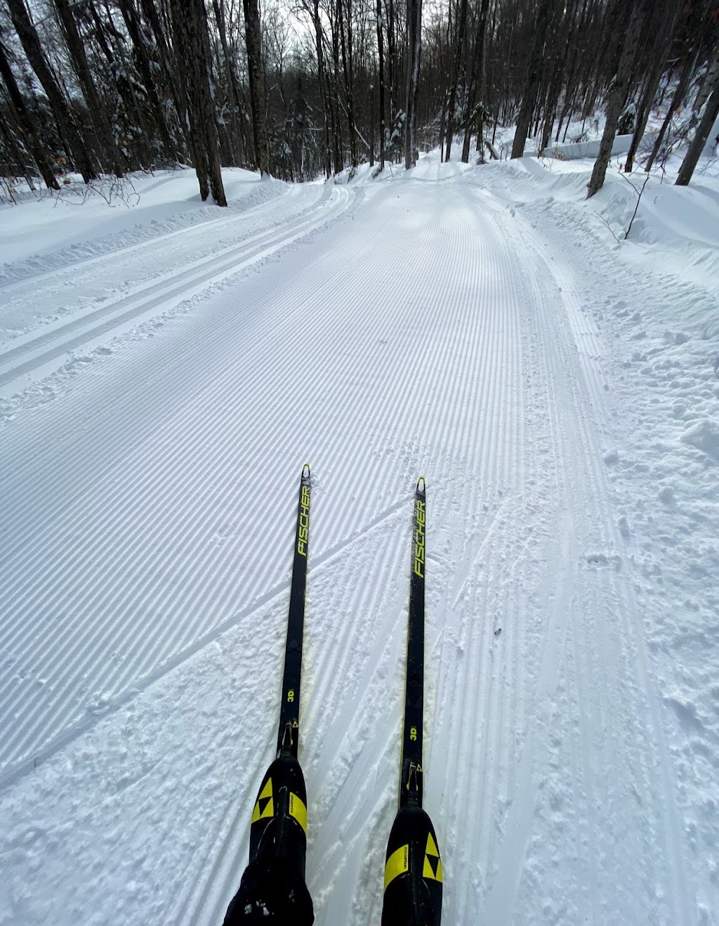 Mont-Sainte-Anne Cross Country Ski Centre | 300 Rang St Julien, Saint-Ferréol-les-Neiges, QC G0A 3R0, Canada | Phone: (418) 827-4561