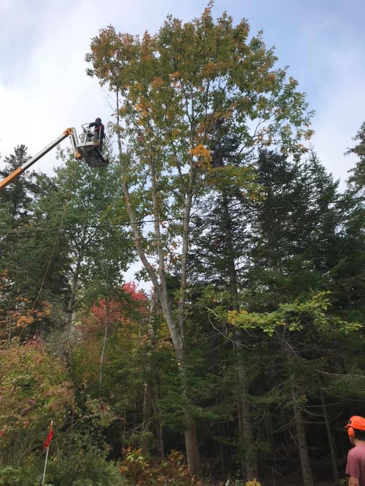 Hunt Ventures Tree Services | 2819 NS-326, Tatamagouche, NS B0K 1V0, Canada | Phone: (902) 957-0902