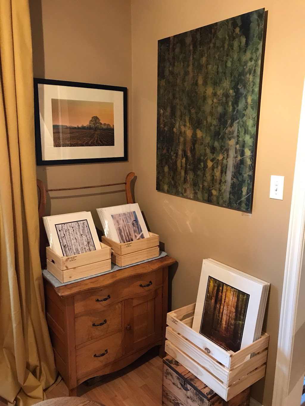 Ed Lehming Photography | 88 Mill St, Whitchurch-Stouffville, ON L4A 1J2, Canada | Phone: (647) 801-3514