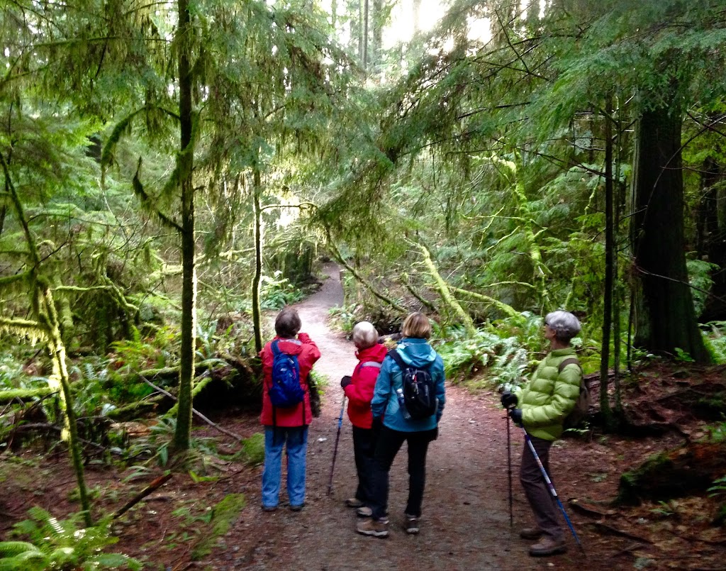 North Shore ElderCollege Society | 2225 Marine Dr, West Vancouver, BC V7V 1K5, Canada | Phone: (778) 246-6737