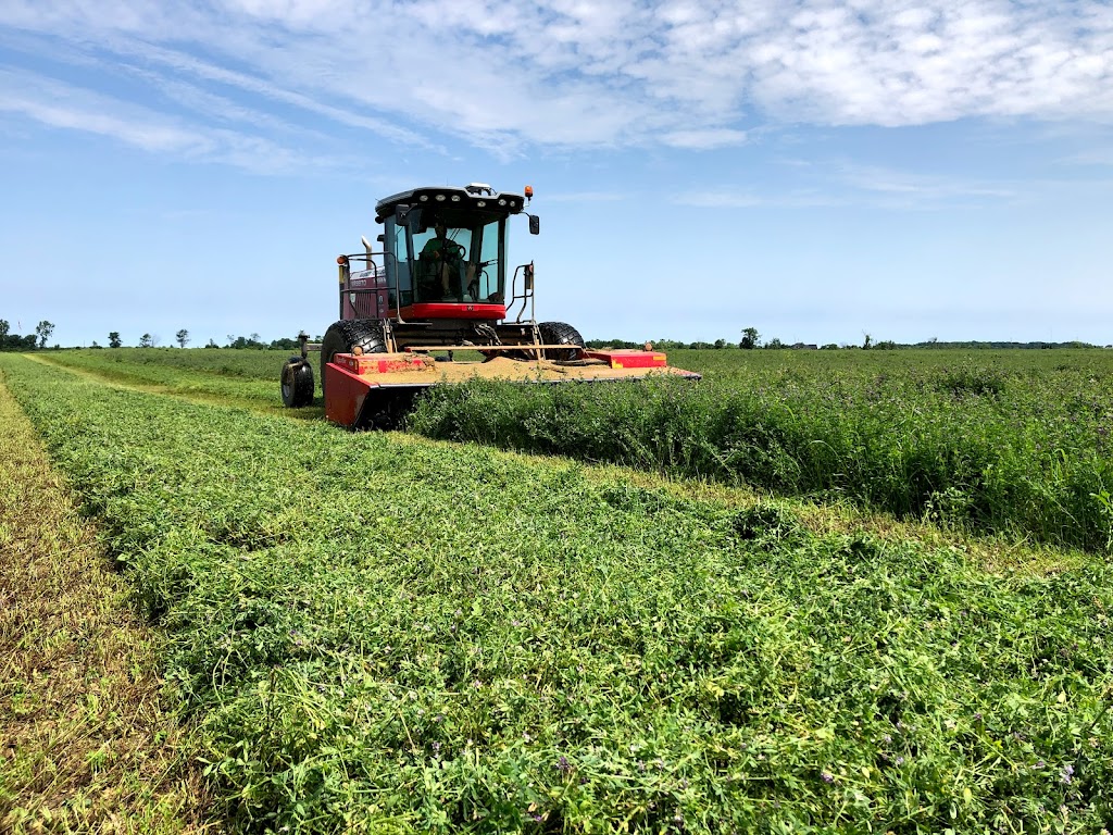 County Line Construction Inc | 65 Concession 9 Walpole, Jarvis, ON N0A 1J0, Canada | Phone: (905) 531-8639