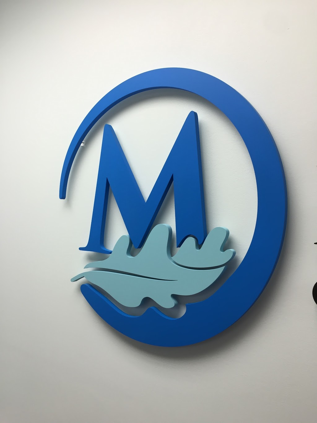 Medical Aesthetics of Muskoka | 11 Robert Dollar Dr, Bracebridge, ON P1L 1P9, Canada | Phone: (705) 637-0777