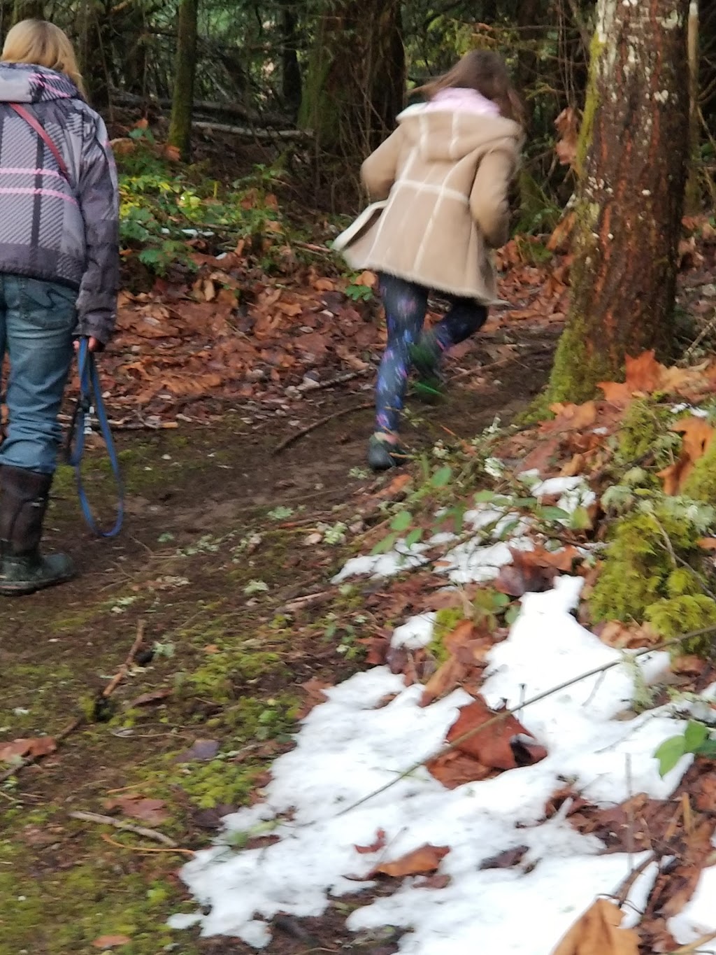 Keating Park | Cowichan Valley E, BC V9L 6R8, Canada | Phone: (250) 746-2620