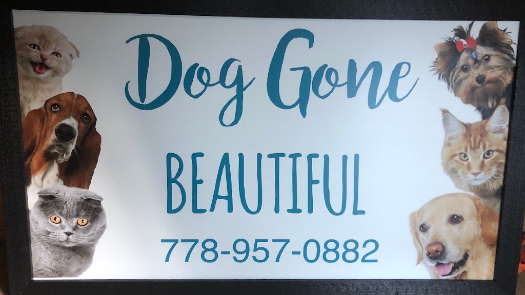 Dog gone beautiful Smiles aldergrove | 27159 Fraser Hwy, Aldergrove, BC V4W 3P7, Canada | Phone: (604) 427-0880