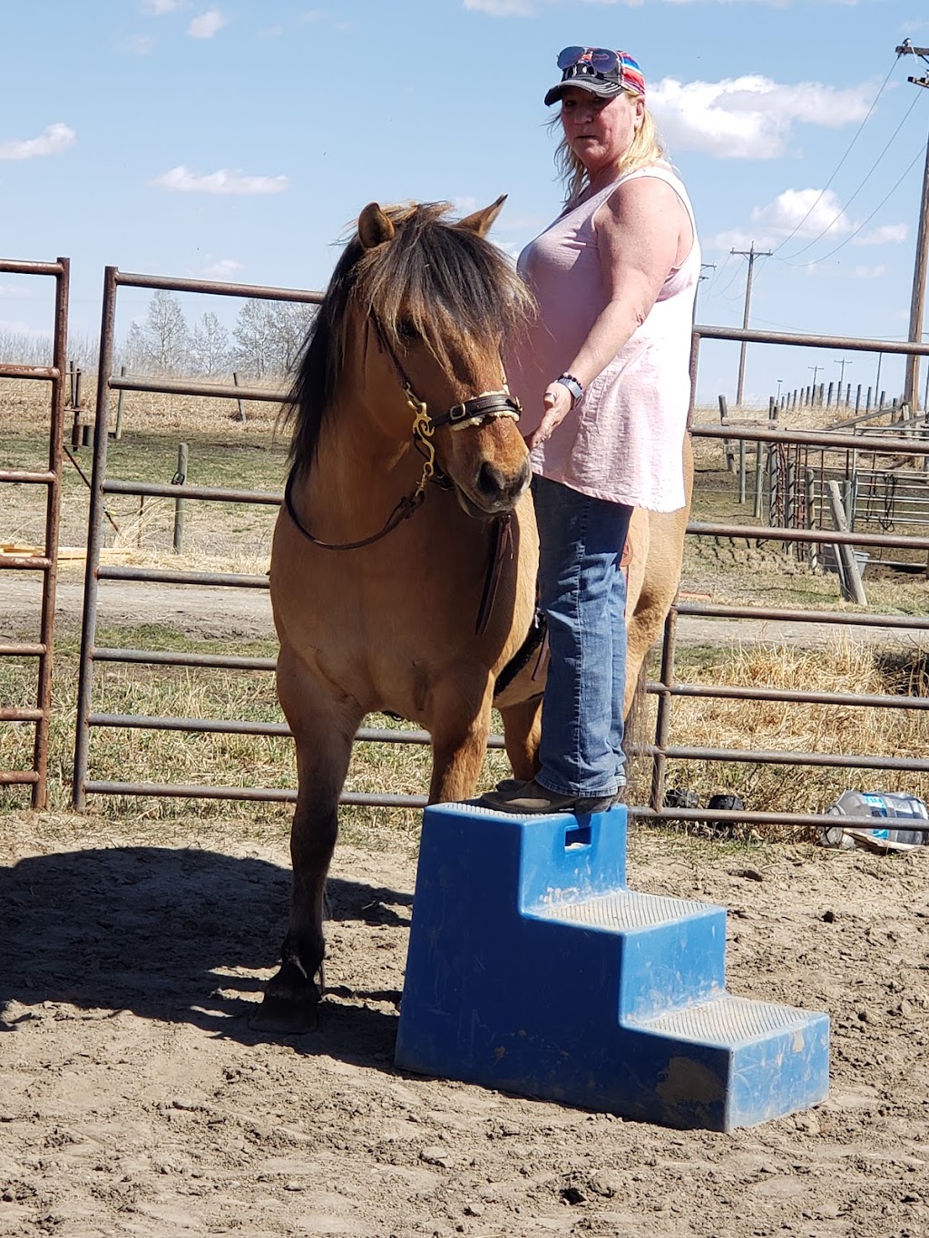 Action 3D Print | 502 Montana Bay, High River, AB T1V 0J6, Canada | Phone: (403) 607-3314