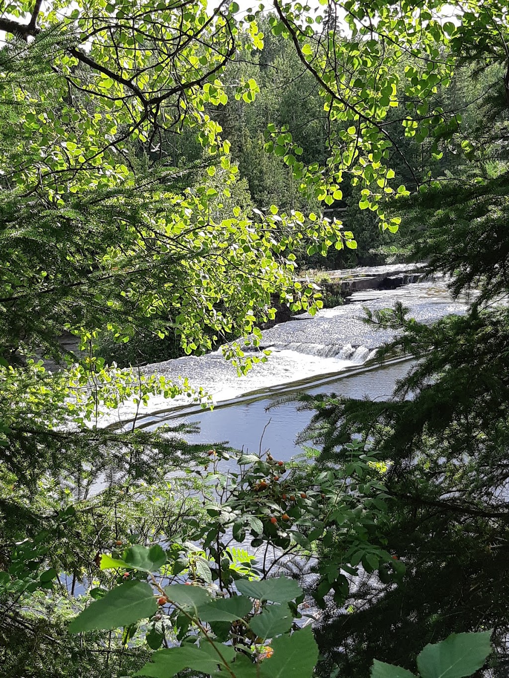 Kakabeka Falls Riverside Campground | 100-200 Hydro Dam Rd, Kakabeka Falls, ON P0T 1W0, Canada | Phone: (807) 473-9231