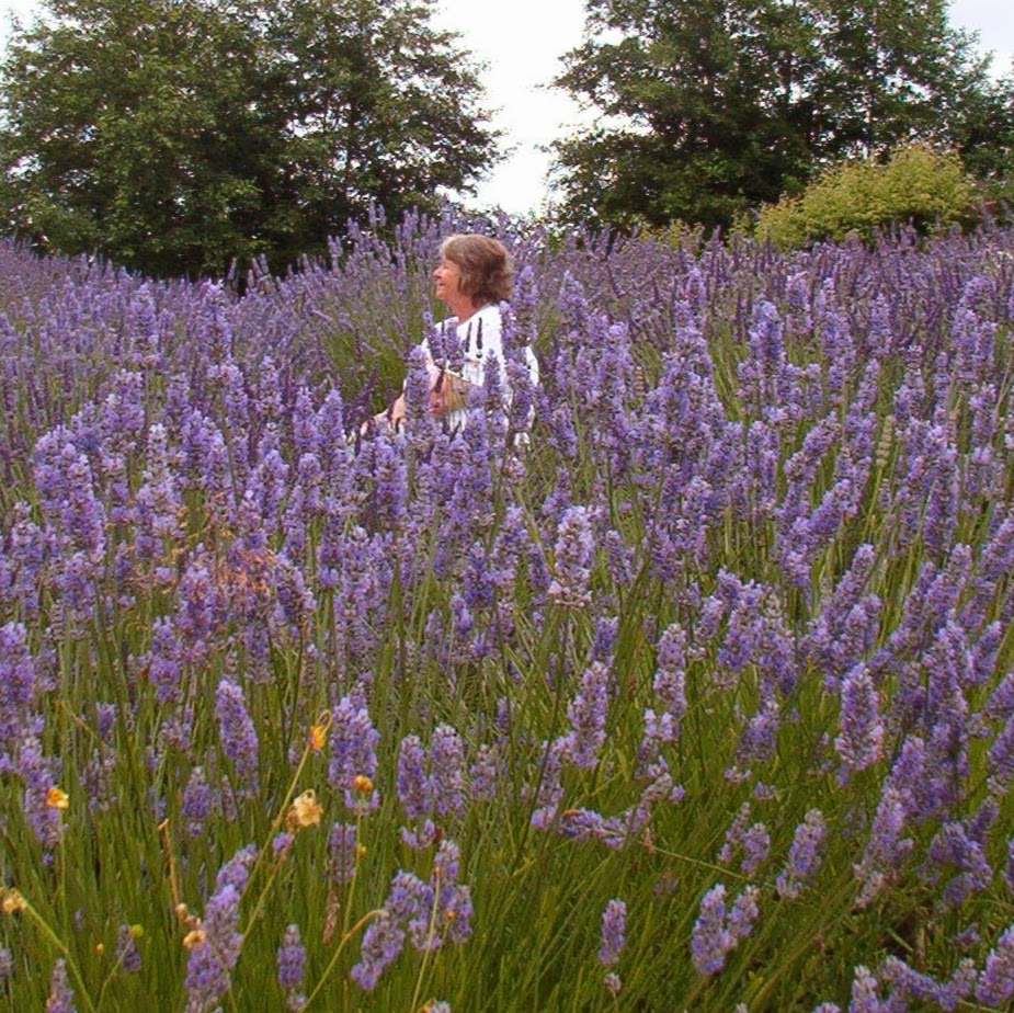 Back In Thyme Lavender and Country Gifts | 7247 Everett Rd, Ferndale, WA 98248, USA | Phone: (360) 303-5103