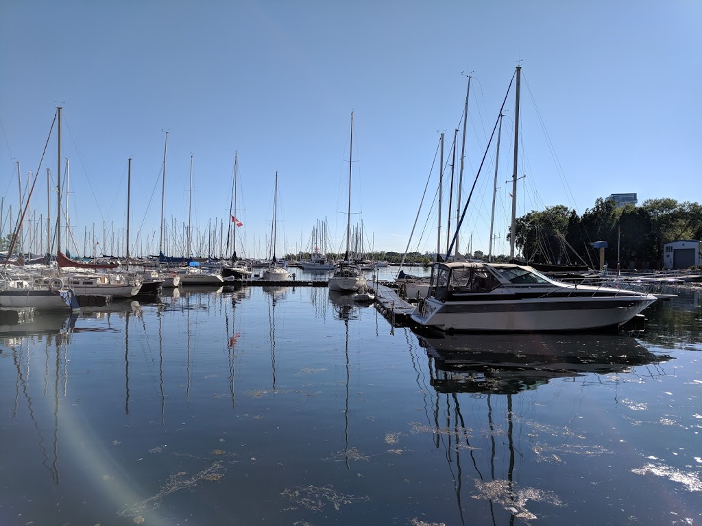 Stadium Road Park | 10 Stadium Rd, Toronto, ON M5V 3P4, Canada | Phone: (416) 338-4386