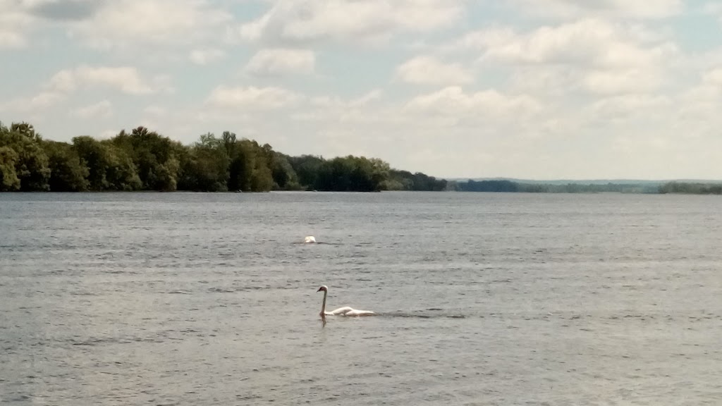 Percy Boom Lodge | 11 Lodge Rd RR #1, Campbellford, ON K0L 1L0, Canada | Phone: (705) 653-5601