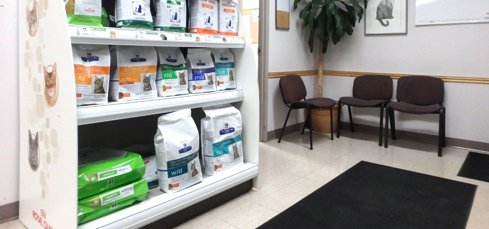 St-Laurent Animal Hospital | 654 Montreal Rd, Ottawa, ON K1K 0T3, Canada | Phone: (613) 749-2143