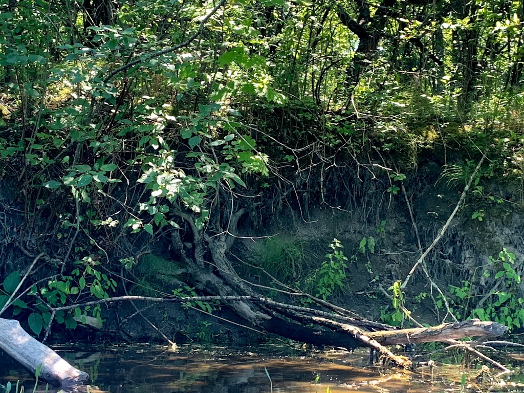 Up River Rentals | 5-269 Upper Scotch Line, Perth, ON K7H 3C5, Canada | Phone: (613) 439-1688