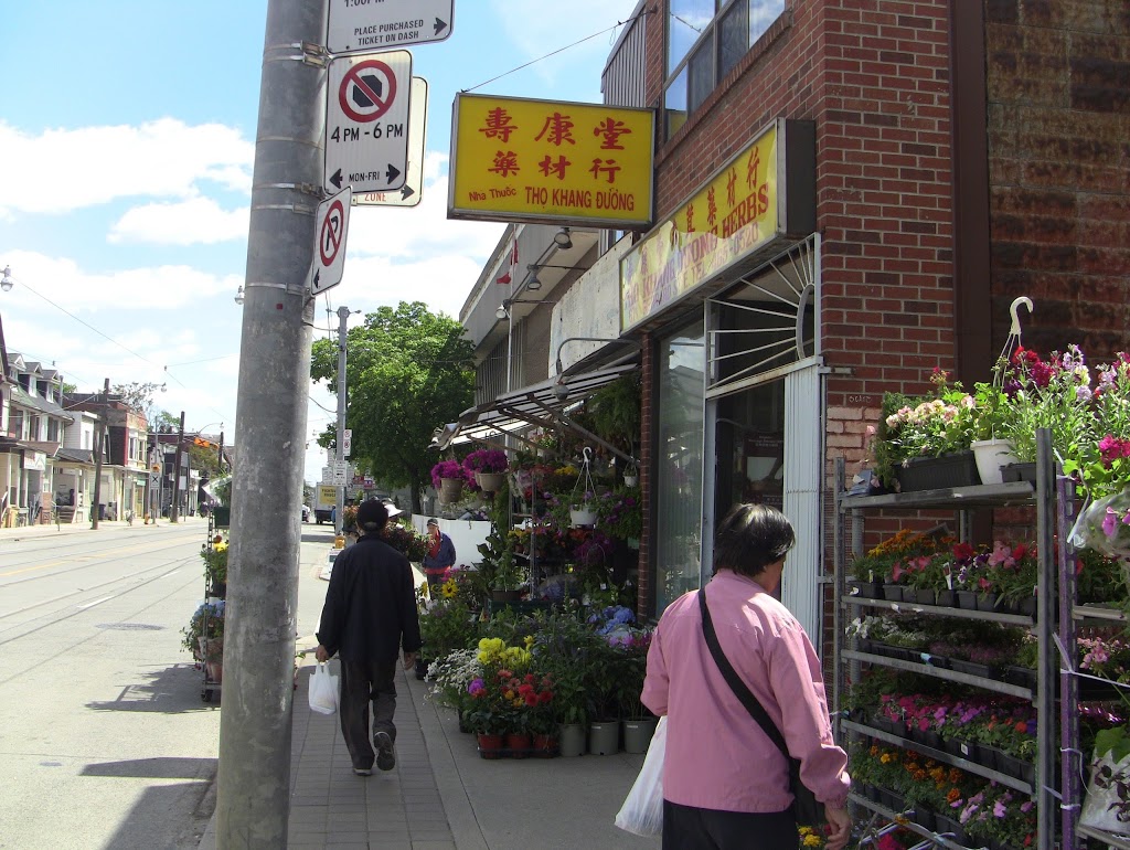 Maple Garden | 673 Gerrard St E, Toronto, ON M4M 1Y2, Canada | Phone: (416) 466-9811