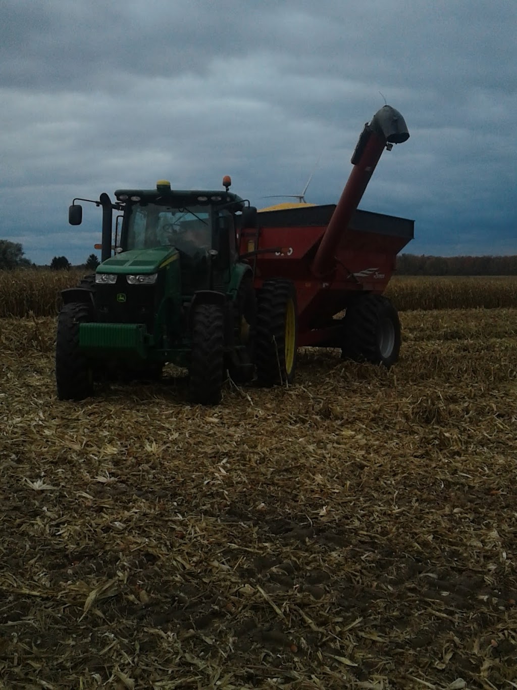 PDM Steckle Farms Ltd. | 74285 Bronson Line, Zurich, ON N0M 2T0, Canada | Phone: (519) 525-3087