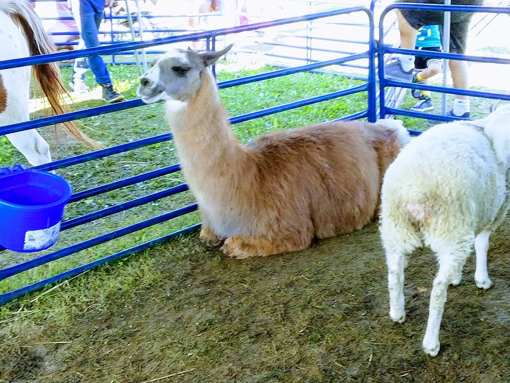 Port Hope Agricultural Park | 62 McCaul St, Port Hope, ON L1A 1L2, Canada | Phone: (905) 885-7908