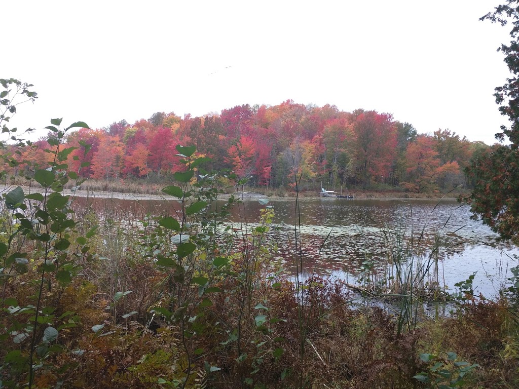 Portland Conservation Area | Quinte Conservation Lane, Verona, ON K0H 2W0, Canada | Phone: (613) 968-3434
