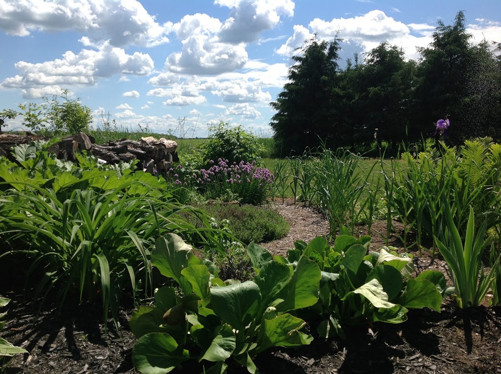 La Campagne | 21 Montée du Sault, Saint-Vallier, QC G0R 4J0, Canada | Phone: (418) 807-0727