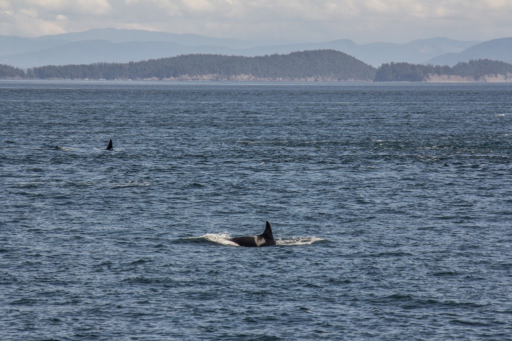East Point Light | Saturna Island, Southern Gulf Islands, BC V0N 2Y0, Canada | Phone: (250) 546-8764