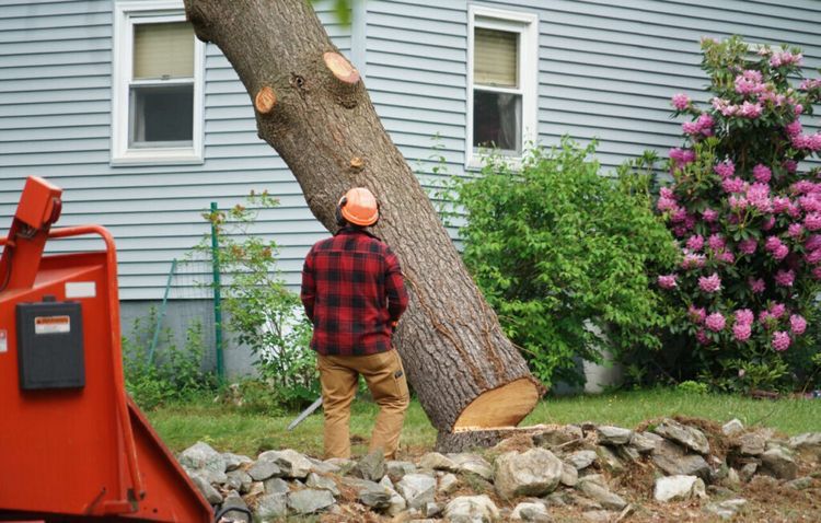 Green Landscaping | 330 Rue Mondoux, Gatineau, QC J8P 5X6, Canada | Phone: (819) 904-0658