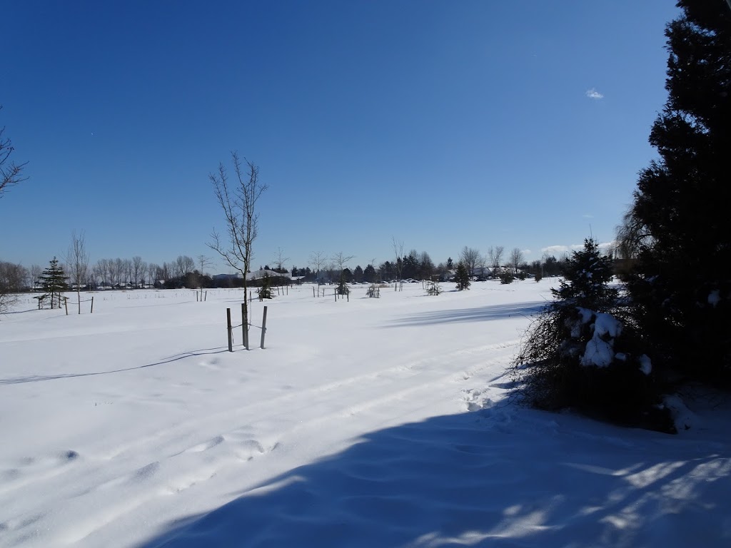 Paterson Park | Clarence Taylor Crescent, Delta, BC V4K 3X3, Canada | Phone: (604) 952-3000