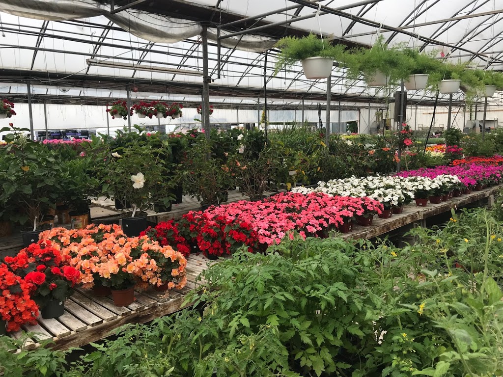 Serres Beauregard Inc (Les) | 135 Rang Charlotte, Saint-Liboire, QC J0H 1R0, Canada | Phone: (450) 793-2765