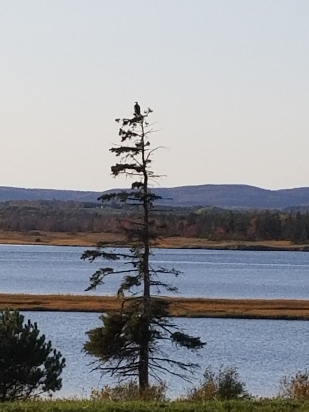 Seascape Cottages | 6 Seascape Cottage Lane, Heatherton, NS B0H 1R0, Canada | Phone: (902) 386-2825