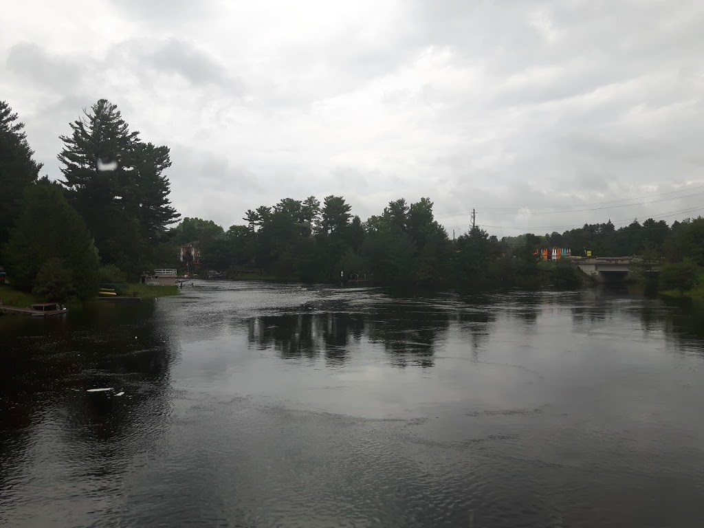 Lady Muskoka Cruises | 300 Ecclestone Dr, Bracebridge, ON P1L 1G4, Canada | Phone: (705) 646-2628