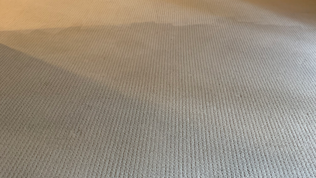 Williams Carpet Cleaning Coquitlam | 2044 Kugler Ave, Coquitlam, BC V3K 2S6, Canada | Phone: (604) 518-0878