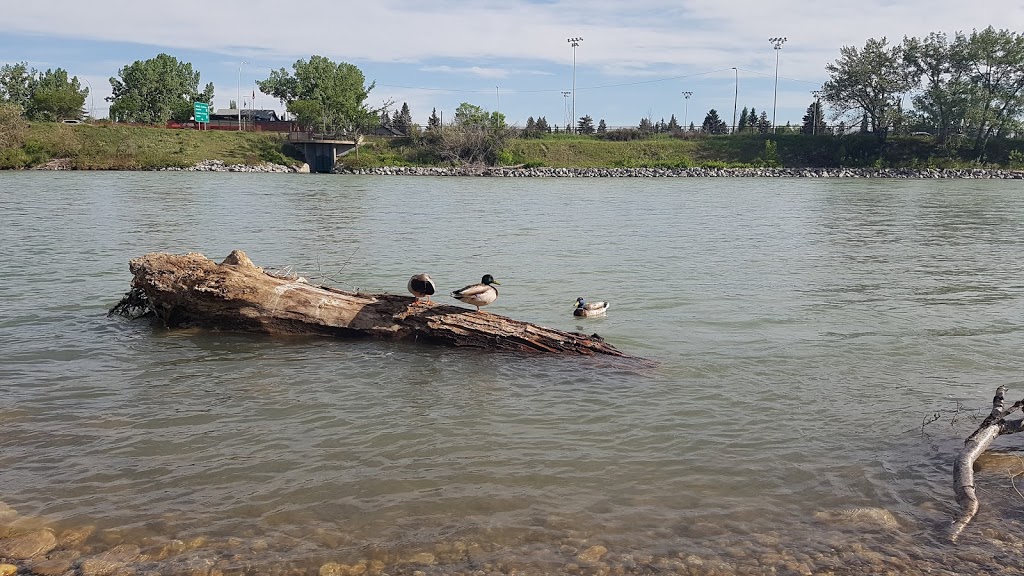 Pumphouse Off Leash Area | 3P5, Bow River Pathway, Calgary, AB T3C 3P5, Canada