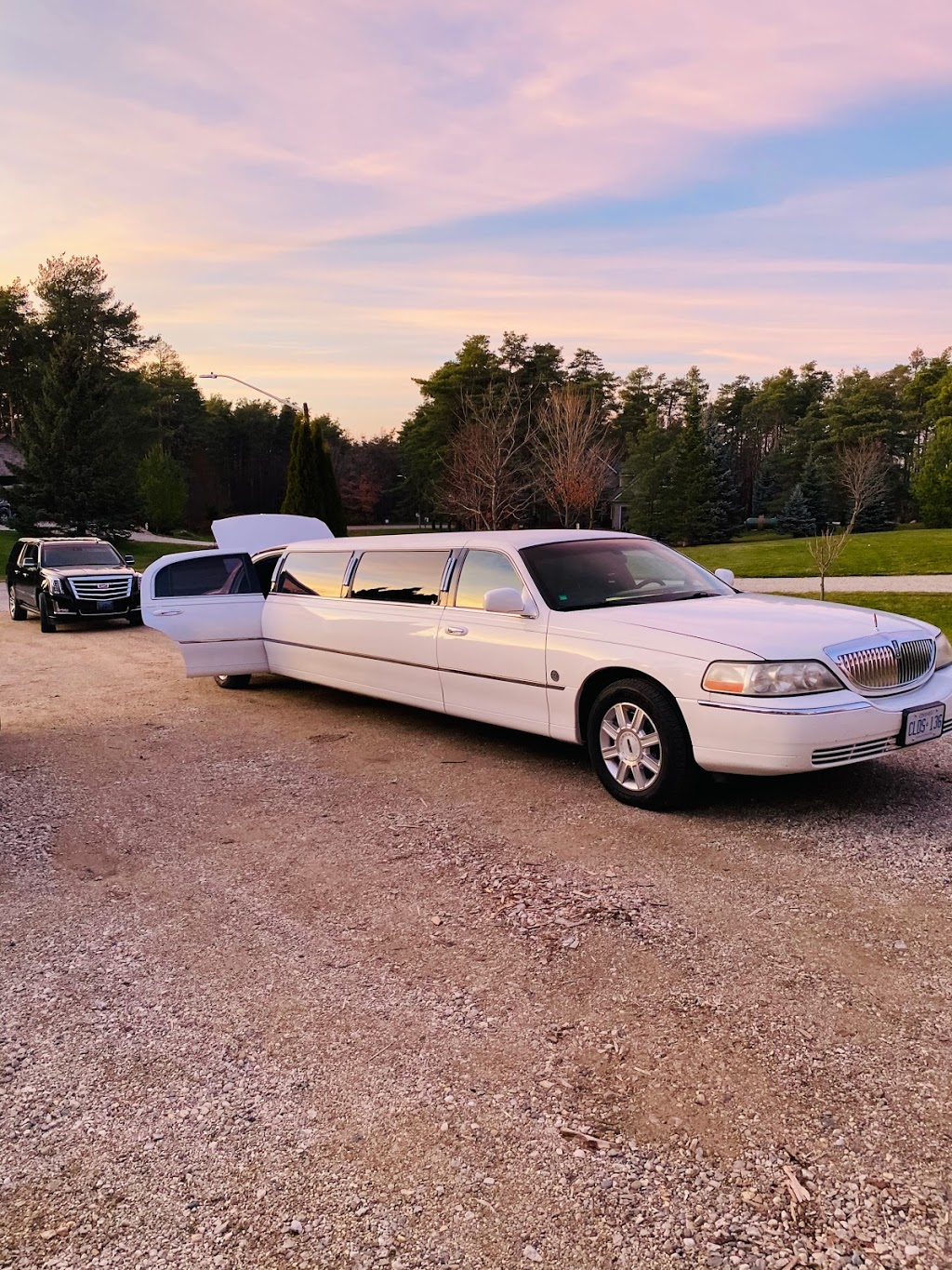 AAA Executive Limousine | 24 Amalia Crescent, Belwood, ON N0B 1J0, Canada | Phone: (647) 824-6169