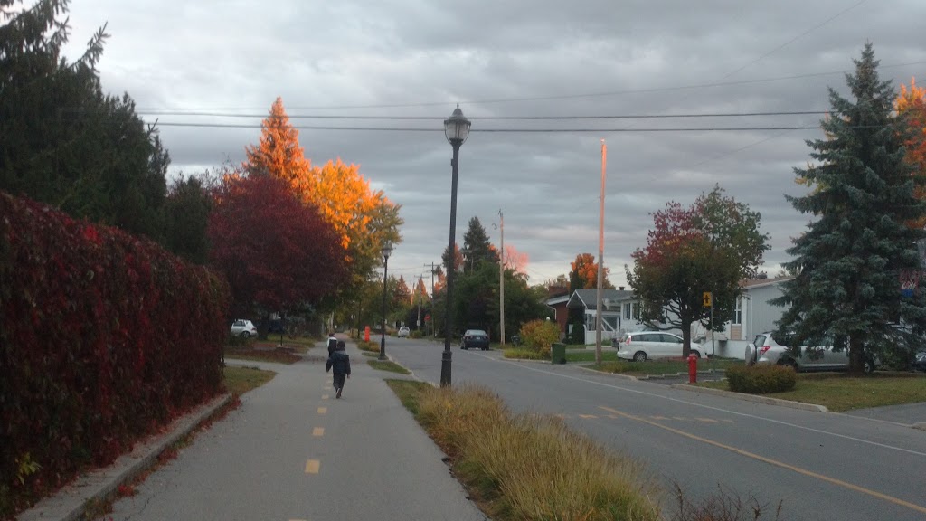 Parc Hector-St-Cyr | Boulevard Georges-Gagné, Delson, QC J5B 2E9, Canada