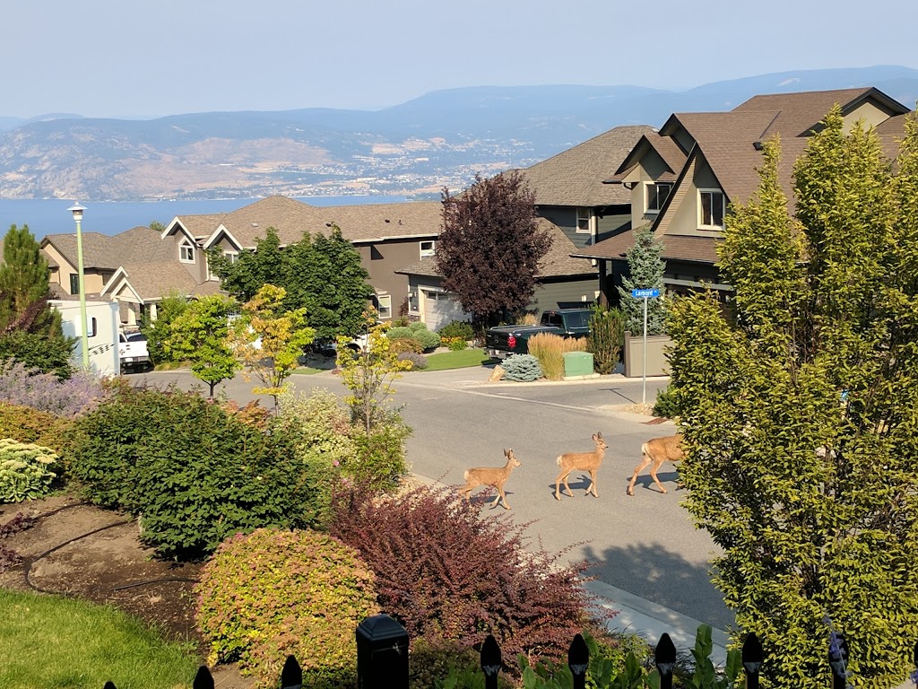 Hilltop Escape B&B | Hewetson Court, Kelowna, BC V1W 5H8, Canada | Phone: (778) 477-1151